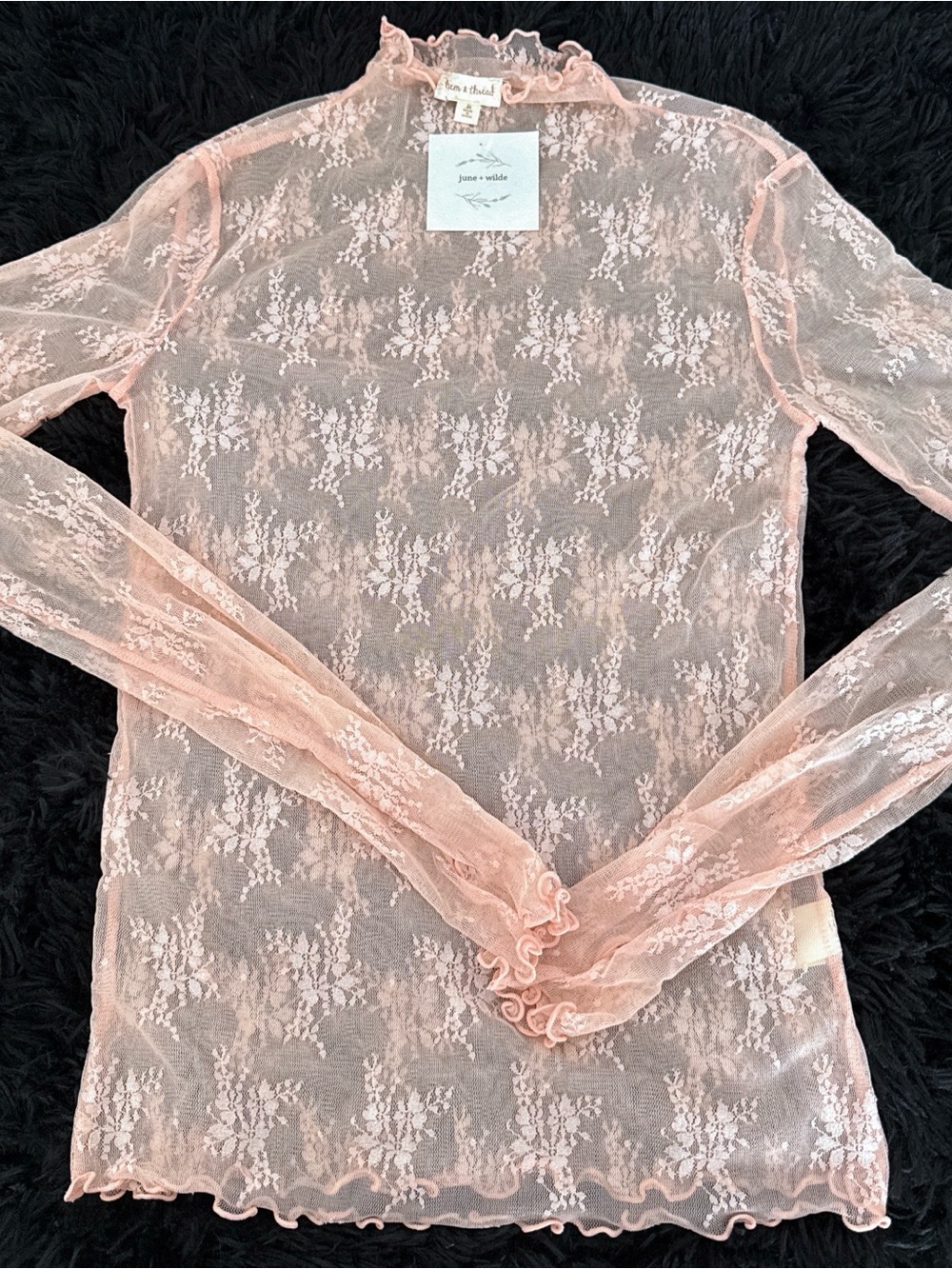 Altar'd State Pale Pink Sheer Floral Lace Long Sleeve Mock Neck Top